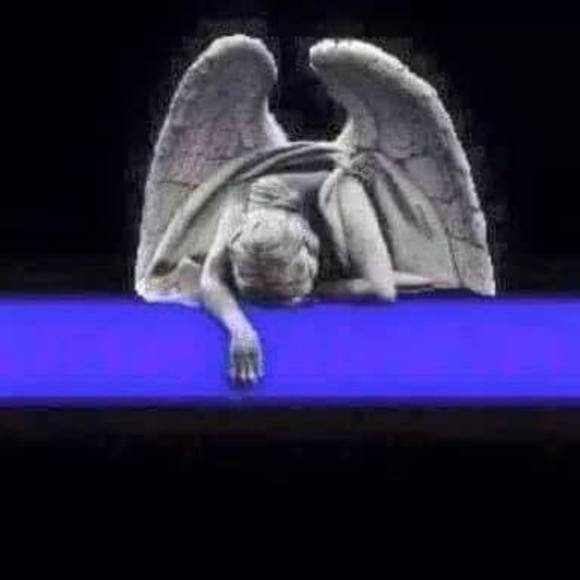 Meet your Posher, Christine - Picture 1 of 1